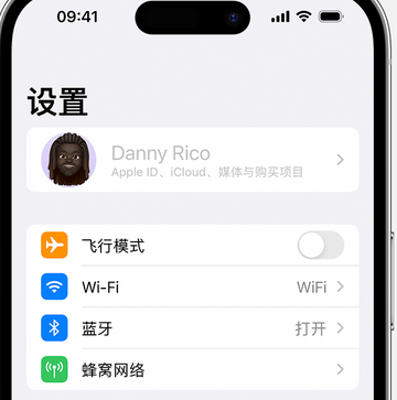 浦口appleID维修服务iPhone设置中Apple ID显示为灰色无法使用 