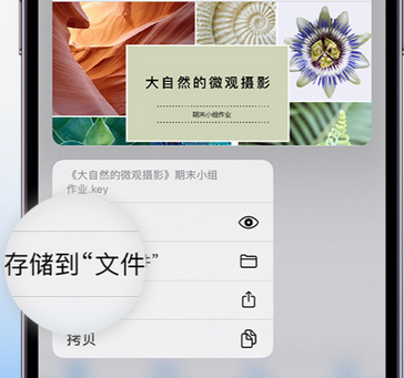 浦口apple维修中心分享iPhone文件应用中存储和找到下载文件