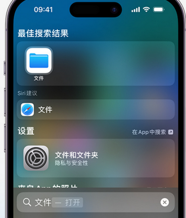 浦口apple维修中心分享iPhone文件应用中存储和找到下载文件 