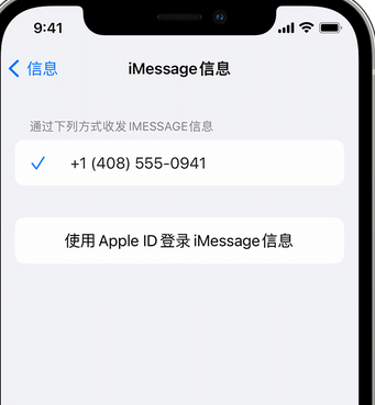 浦口apple维修iPhone上无法正常发送iMessage信息 