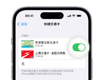 浦口apple维修点分享iPhone上更换Apple Pay快捷交通卡手绘卡面 