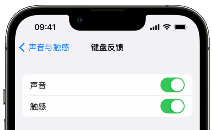 浦口苹果手机维修分享iPhone 14触感键盘使用方法 