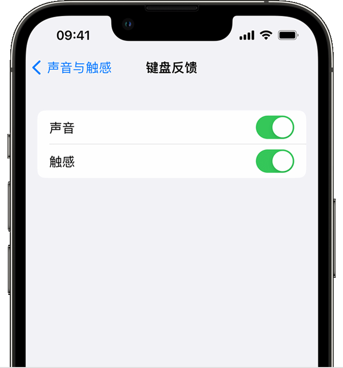 浦口苹果14维修店分享如何在 iPhone 14 机型中使用触感键盘 