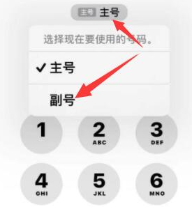 浦口苹果14维修店分享iPhone 14 Pro Max使用副卡打电话的方法 