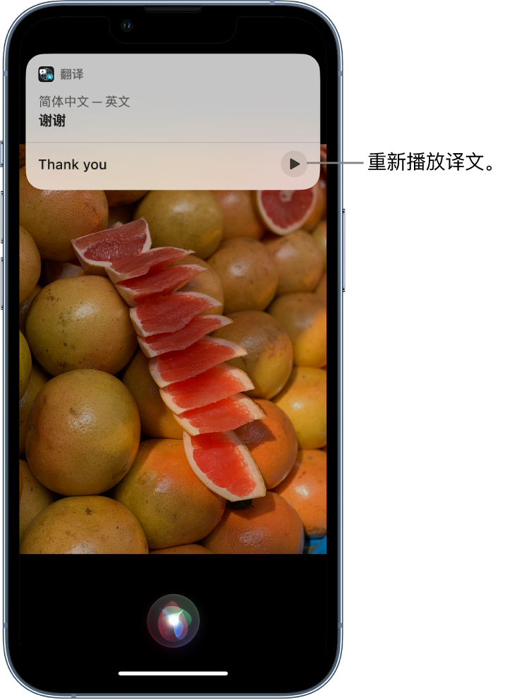 浦口苹果14维修分享 iPhone 14 机型中使用 Siri：了解 Siri 能帮你做什么 