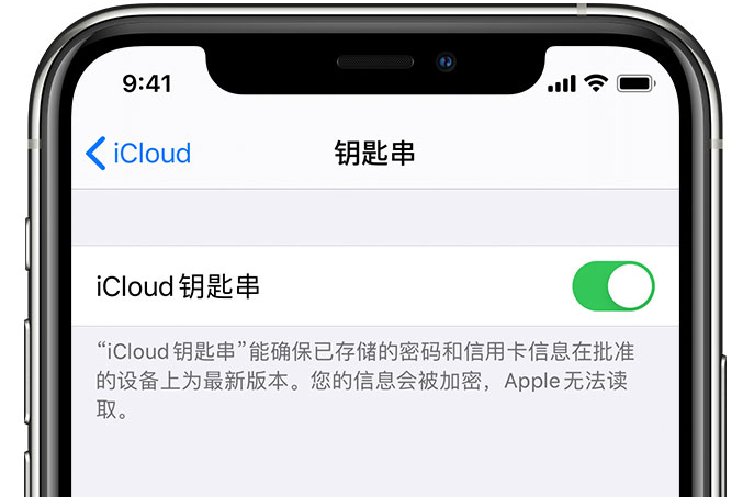 浦口苹果手机维修分享在 iPhone 上开启 iCloud 钥匙串之后会储存哪些信息 