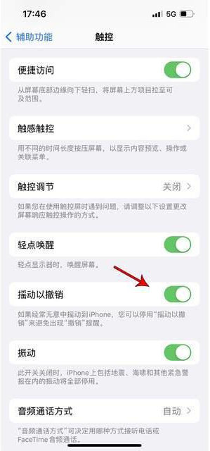 浦口苹果手机维修分享iPhone手机如何设置摇一摇删除文字 