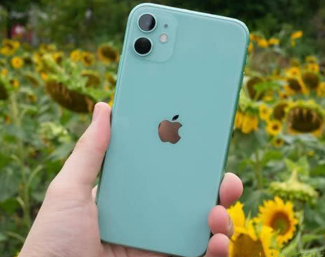 浦口苹果维修点分享iPhone 11锁屏密码认知与使用科普 